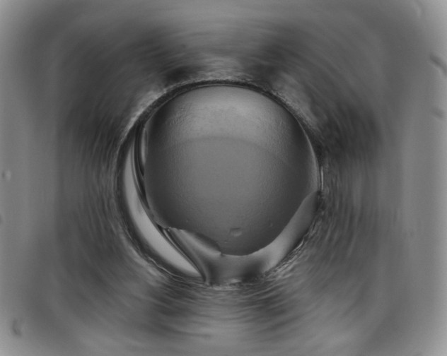 X0000098210156200804241329