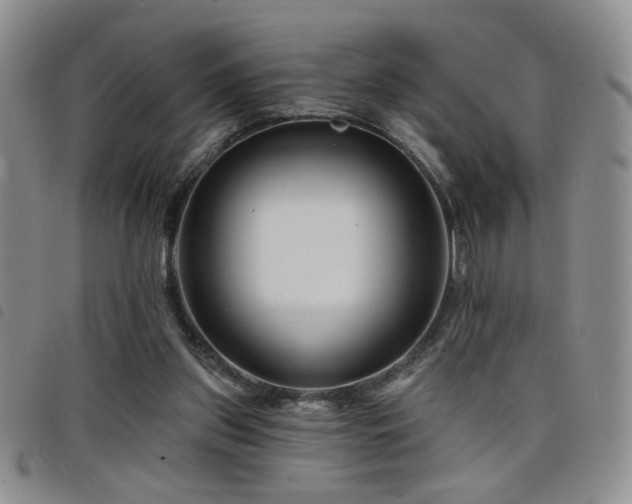 X0000098210157200804241329
