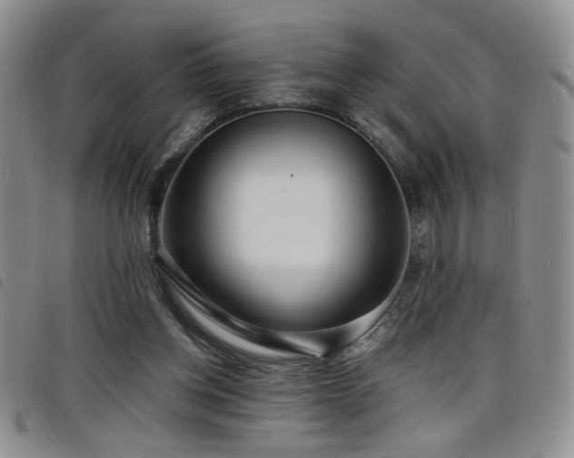 X0000098210158200804241329