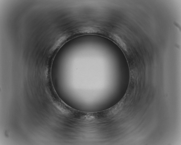 X0000098210159200804241329