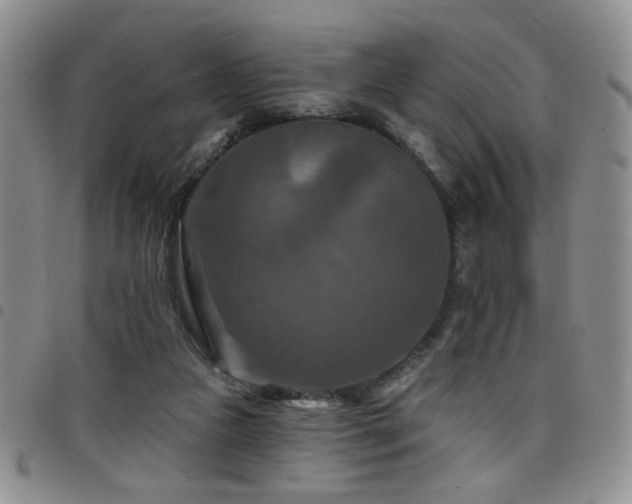 X0000098210161200804241329