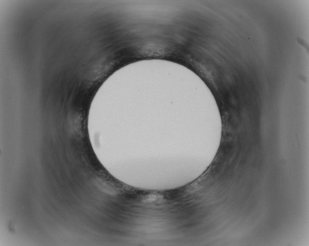 X0000098210162200804241329