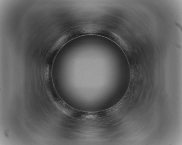 X0000098210163200804241329