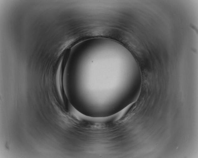 X0000098210164200804241329
