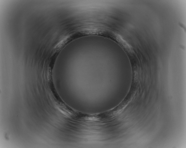 X0000098210165200804241329