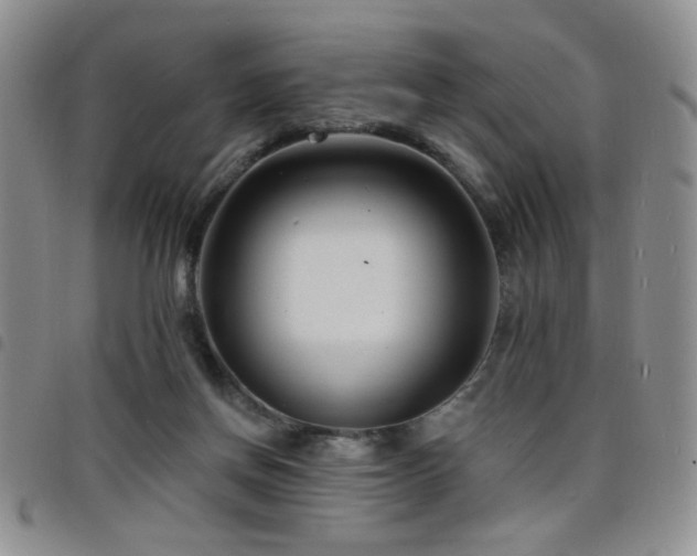 X0000098210166200804241329