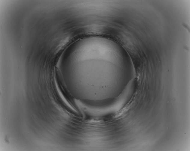 X0000098210168200804241329