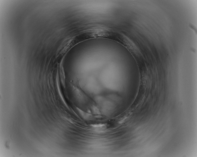 X0000098210169200804241329