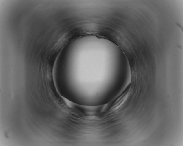 X0000098210170200804241329