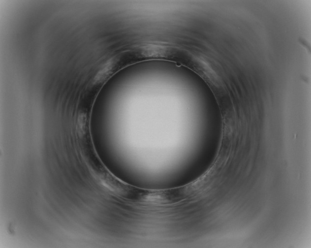 X0000098210171200804241329