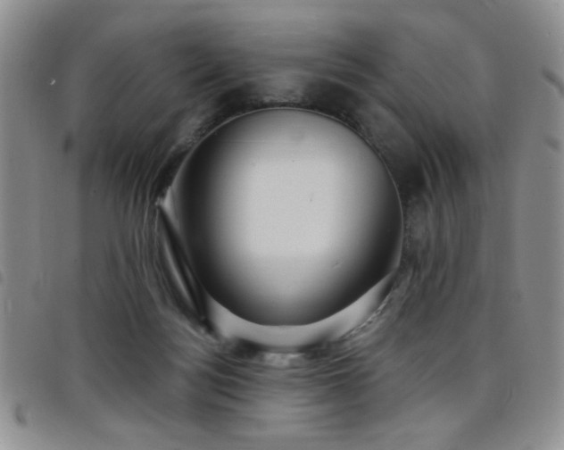 X0000098210172200804241329