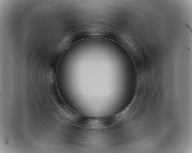 X0000098210174200804241329