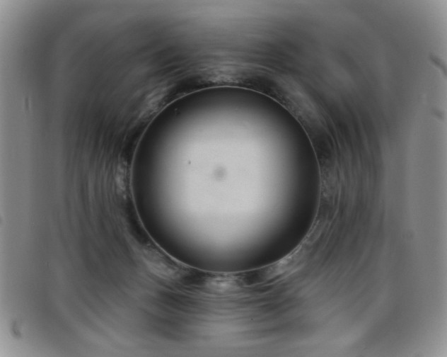 X0000098210175200804241329