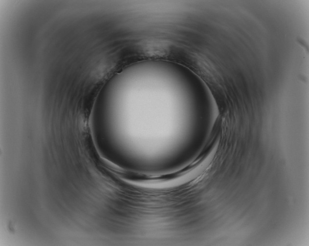 X0000098210176200804241329