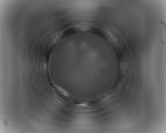 X0000098210177200804241329