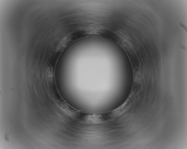 X0000098210179200804241329
