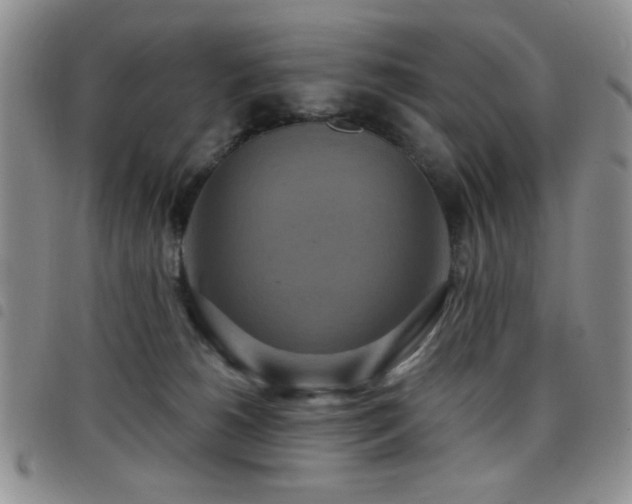 X0000098210180200804241329