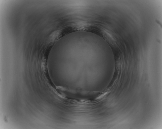 X0000098210181200804241329