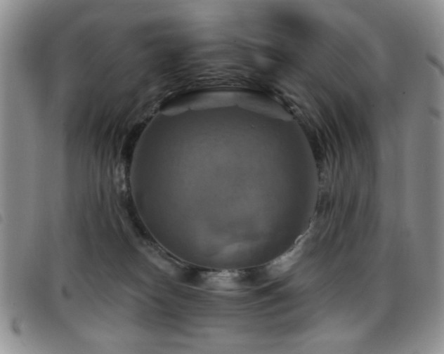 X0000098210182200804241329