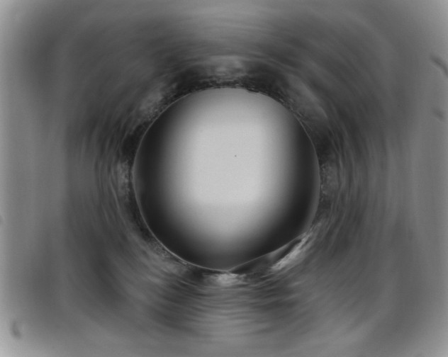 X0000098210184200804241329