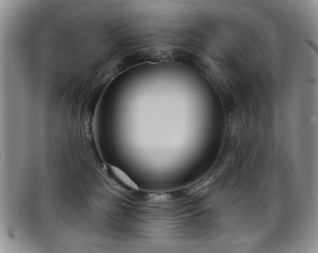X0000098210185200804241329
