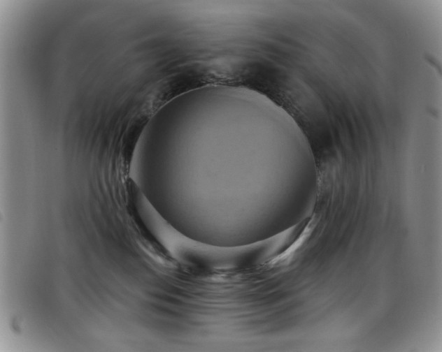 X0000098210186200804241329