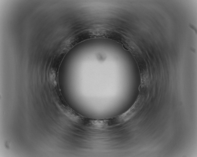 X0000098210187200804241329