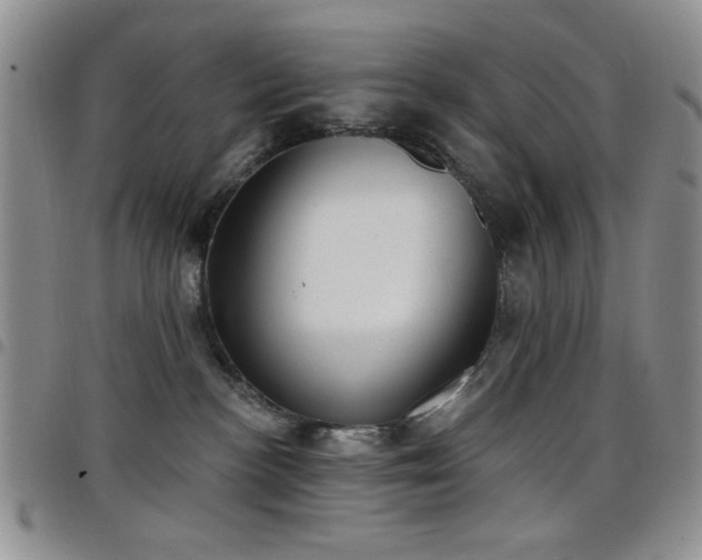 X0000098210188200804241329