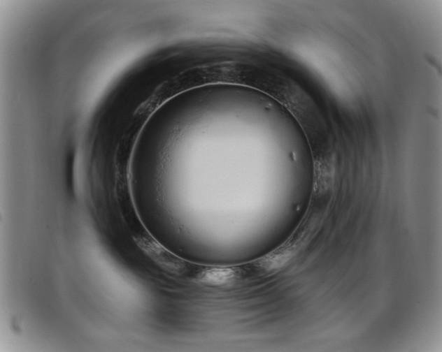 X0000098210189200804241329