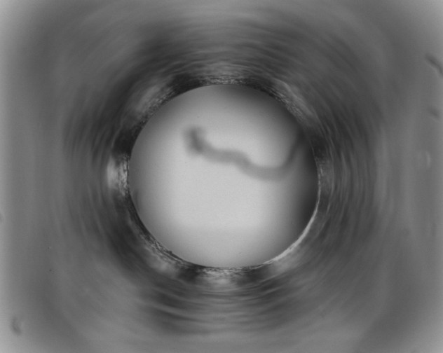 X0000098210190200804241329