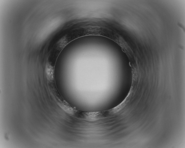 X0000098210191200804241329