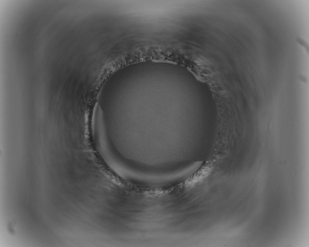 X0000098210192200804241329