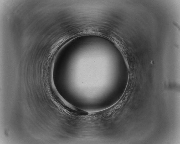 X0000098210193200804241329