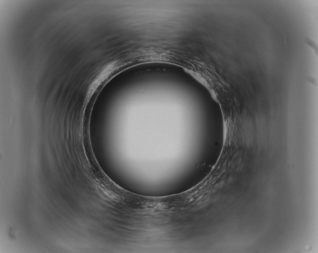 X0000098210195200804241329