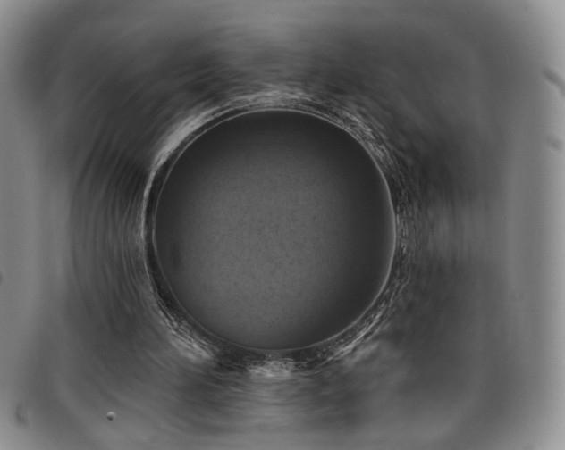 X0000098210196200804241329