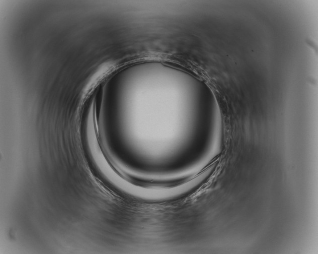 X0000098210197200804241329