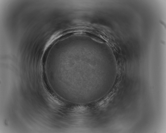 X0000098210198200804241329