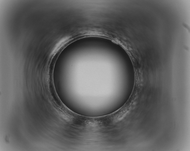 X0000098210199200804241329