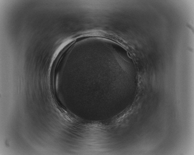 X0000098210200200804241329