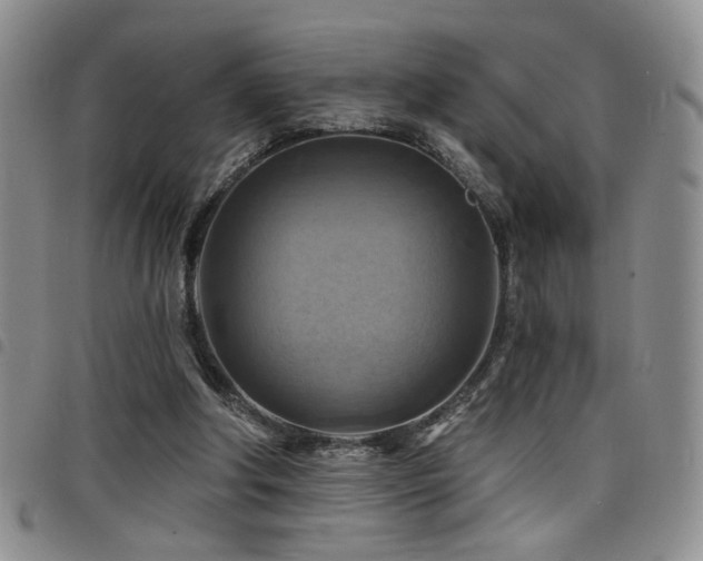 X0000098210202200804241329