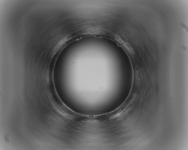 X0000098210203200804241329