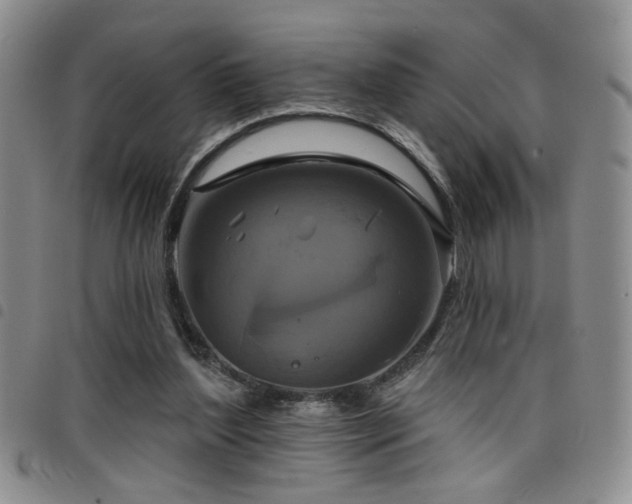 X0000098210204200804241329