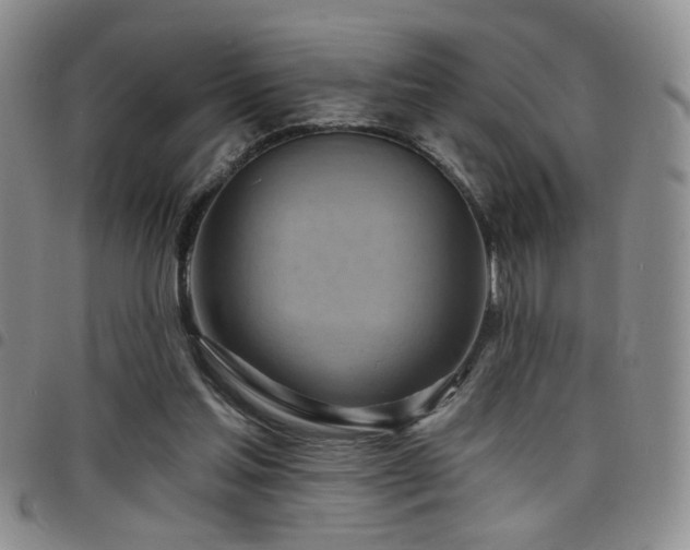 X0000098210205200804241329