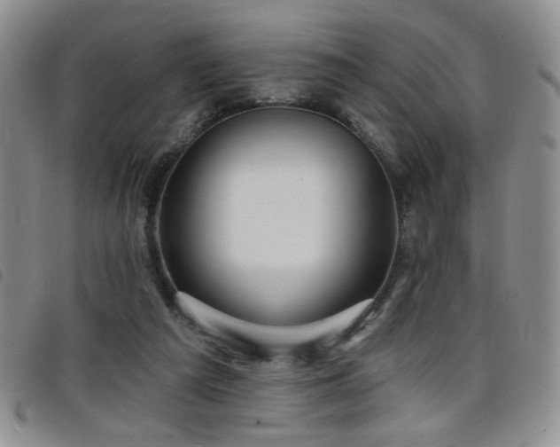 X0000098210209200804241329