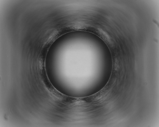 X0000098210210200804241329