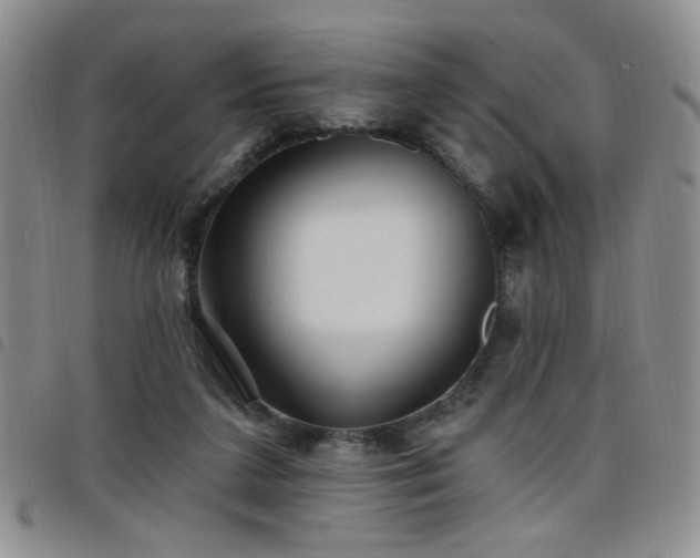 X0000098210211200804241328