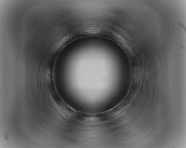 X0000098210212200804241328
