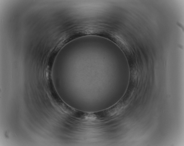 X0000098210214200804241328