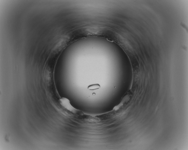 X0000098210215200804241328