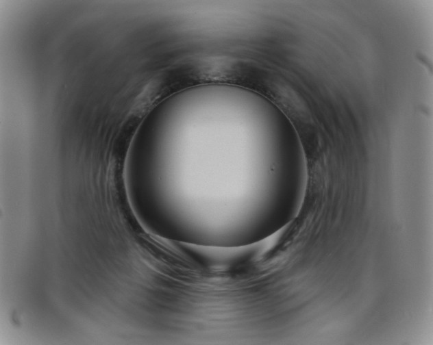 X0000098210217200804241328